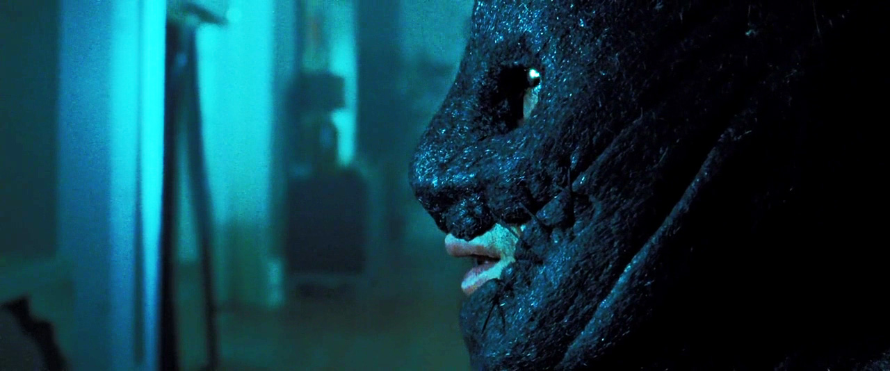THE COLLECTOR (2009). Pokonać torture porn