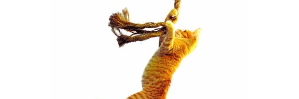 Te roboty tak fajnie się naparzają