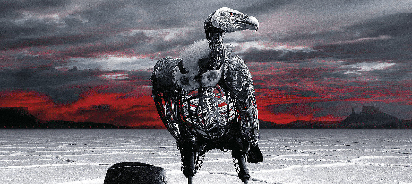WESTWORLD ROZGRYWA SIĘ W KOSMOSIE? Teorie i spekulacje wokół serialu HBO