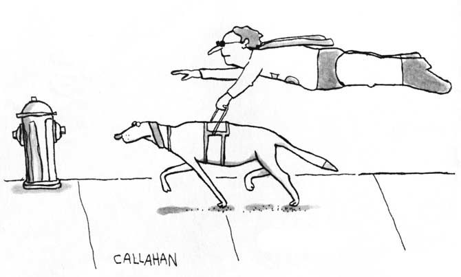 | film.org.pl callahan3