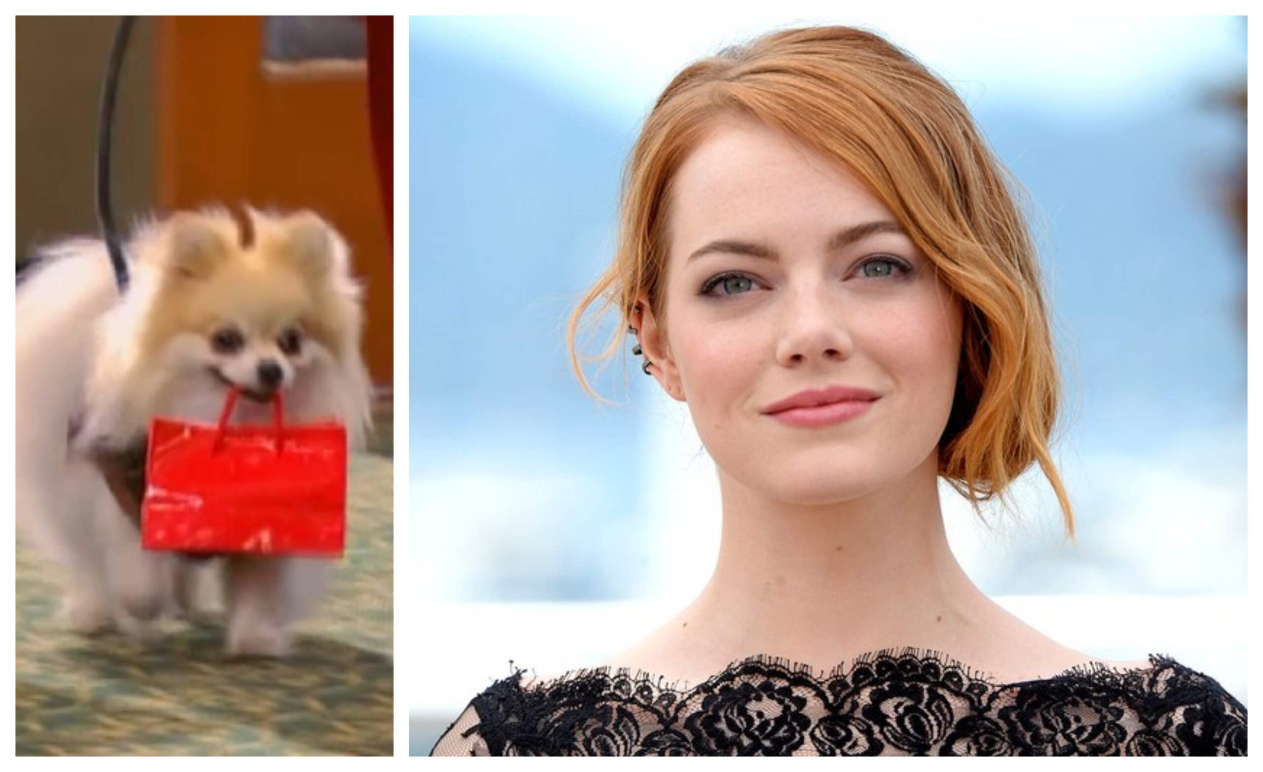 Emma Stone Nie ma to jak hotel
