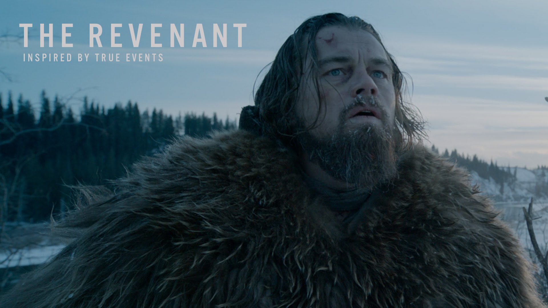 | film.org.pl the revenant