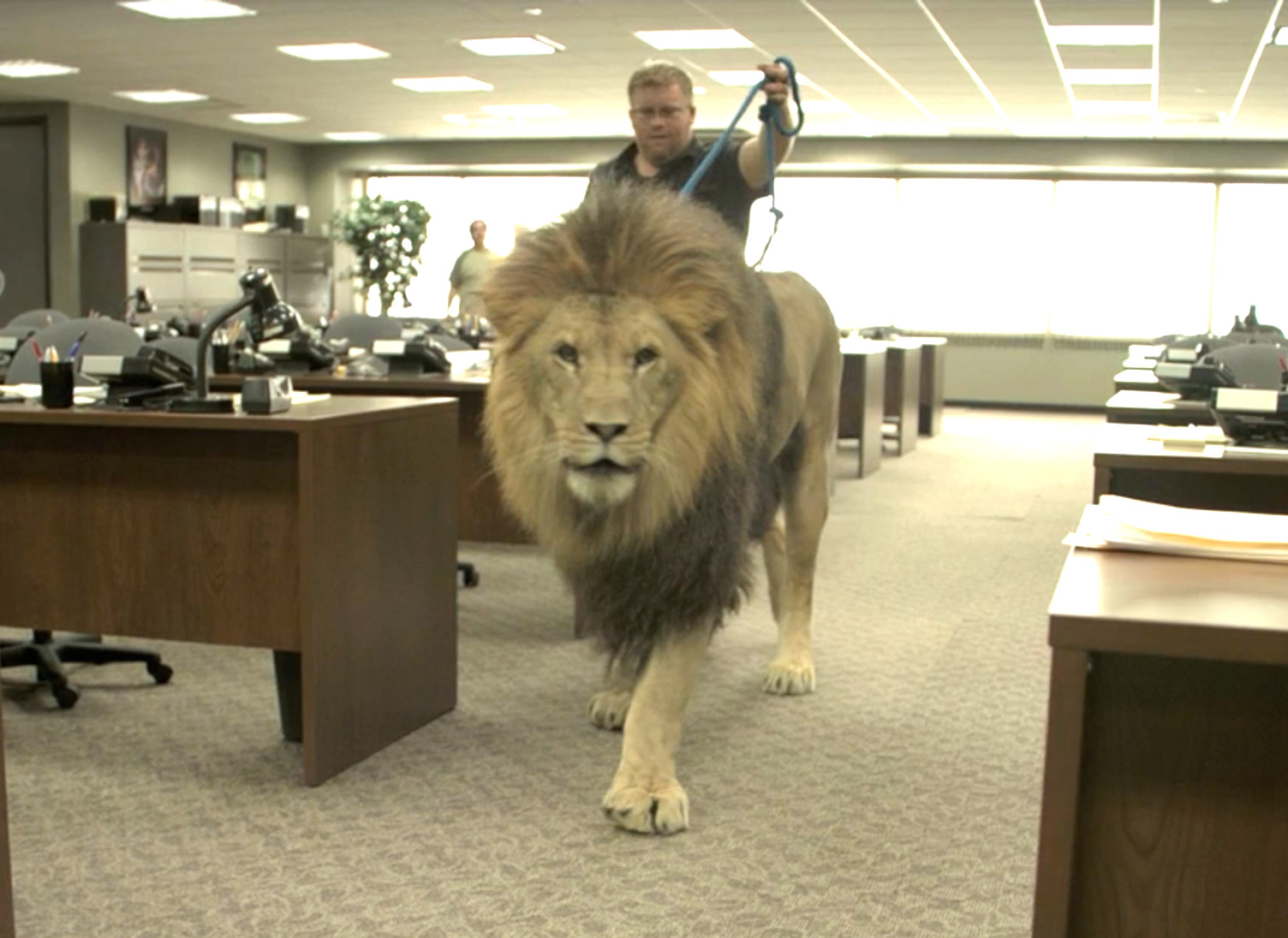 The-Wolf-of-Wall-Street-VFX-Breakdown1