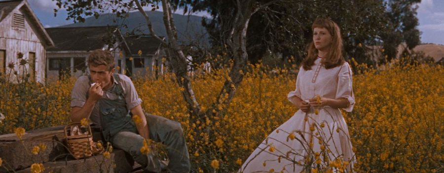 james dean julie harris