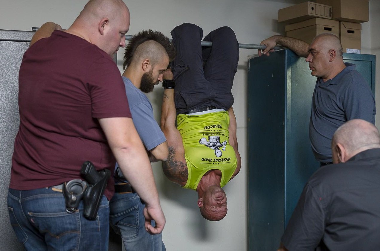 pitbull-nowe-porządki