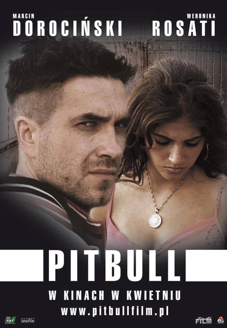 pitbull-plakat