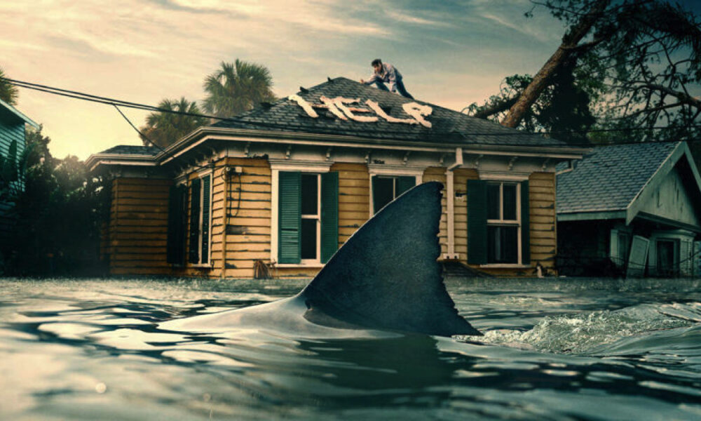 STEPHEN KING pochwalił (na swój sposób) nowy horror Netfliksa