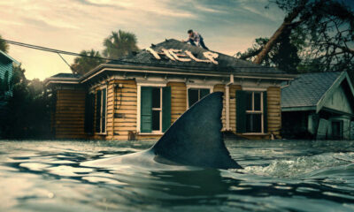 STEPHEN KING pochwalił (na swój sposób) nowy horror Netfliksa