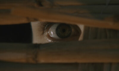 Close-up of a human eye peering through a narrow gap in wood.