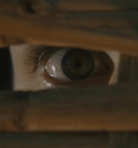 Close-up of a human eye peering through a narrow gap in wood.