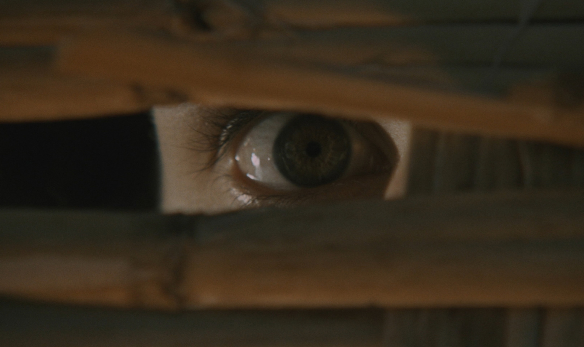 Close-up of a human eye peering through a narrow gap in wood.