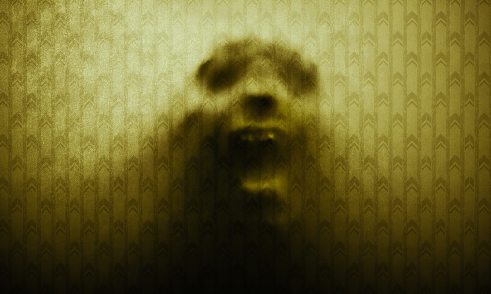 Blurred skull-like silhouette emerging from a yellow-green patterned wall, creating a spooky, ghostly effect.