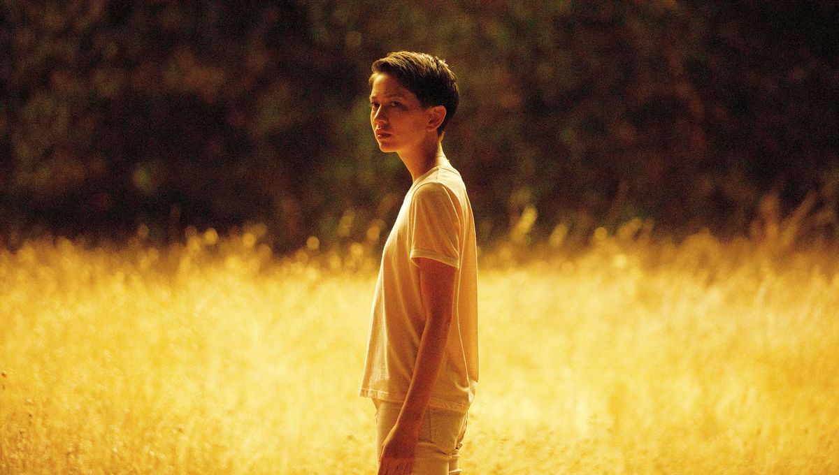 Person standing in a sunlit field of tall golden grass, shown in profile and gazing into the distance.