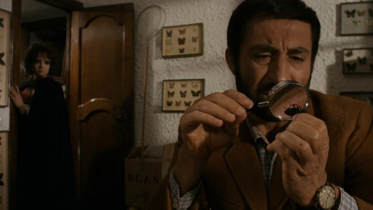 krwawyoboz1971 5 | film.org.pl Man in a brown jacket uses a magnifying glass to inspect a butterfly specimen on a table, while a woman stands in a doorway in the background.