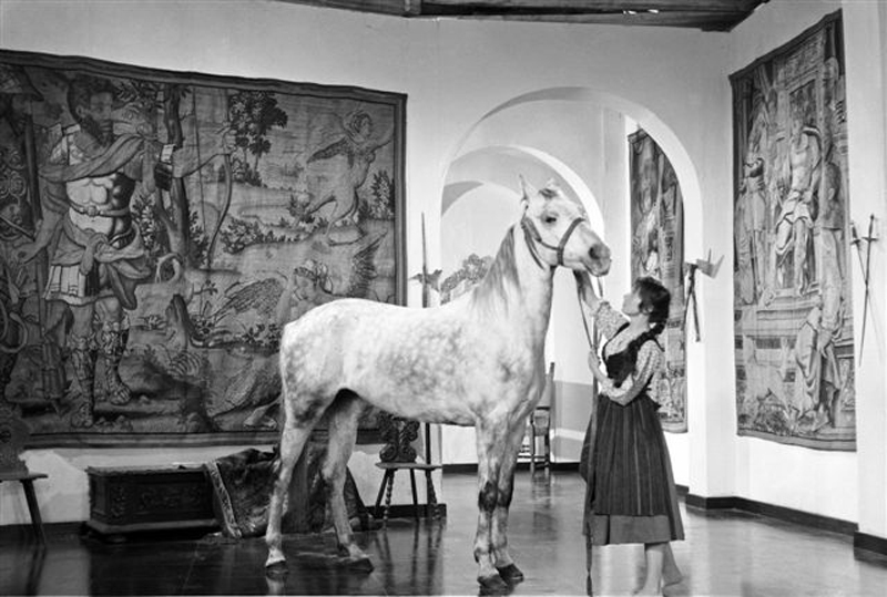 Woman in traditional dress pets a white horse inside a room with large wall tapestries.