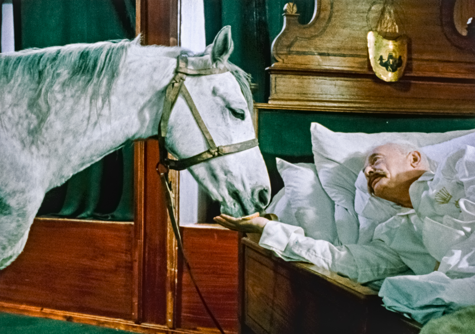 White horse leans over a hospital bed to touch the hand of an elderly man lying in bed.