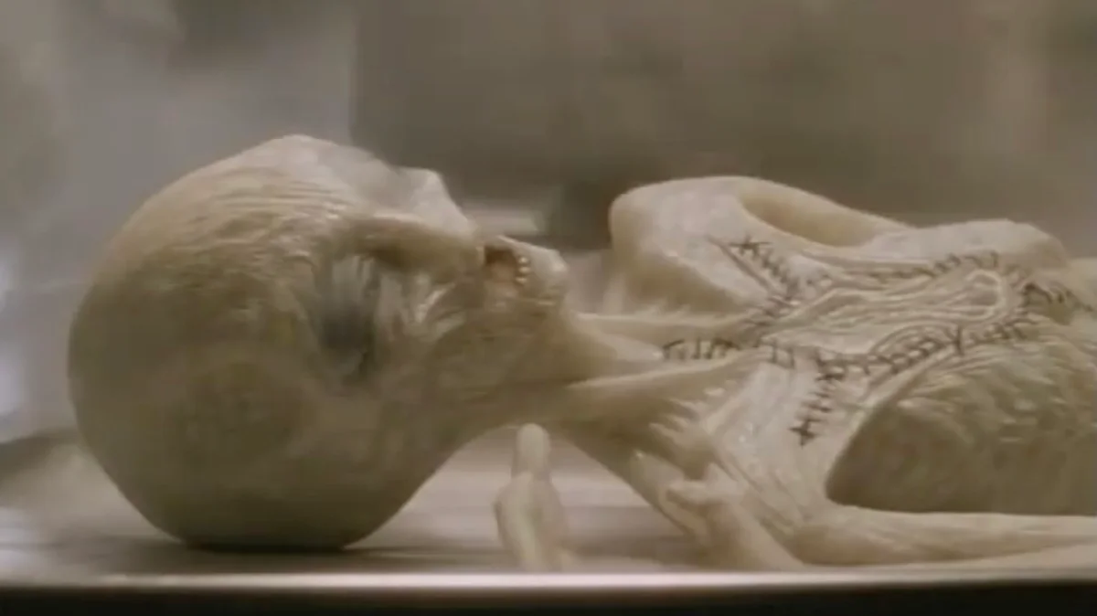 Fossilized skull and partial skeleton on a display shelf in a museum case.
