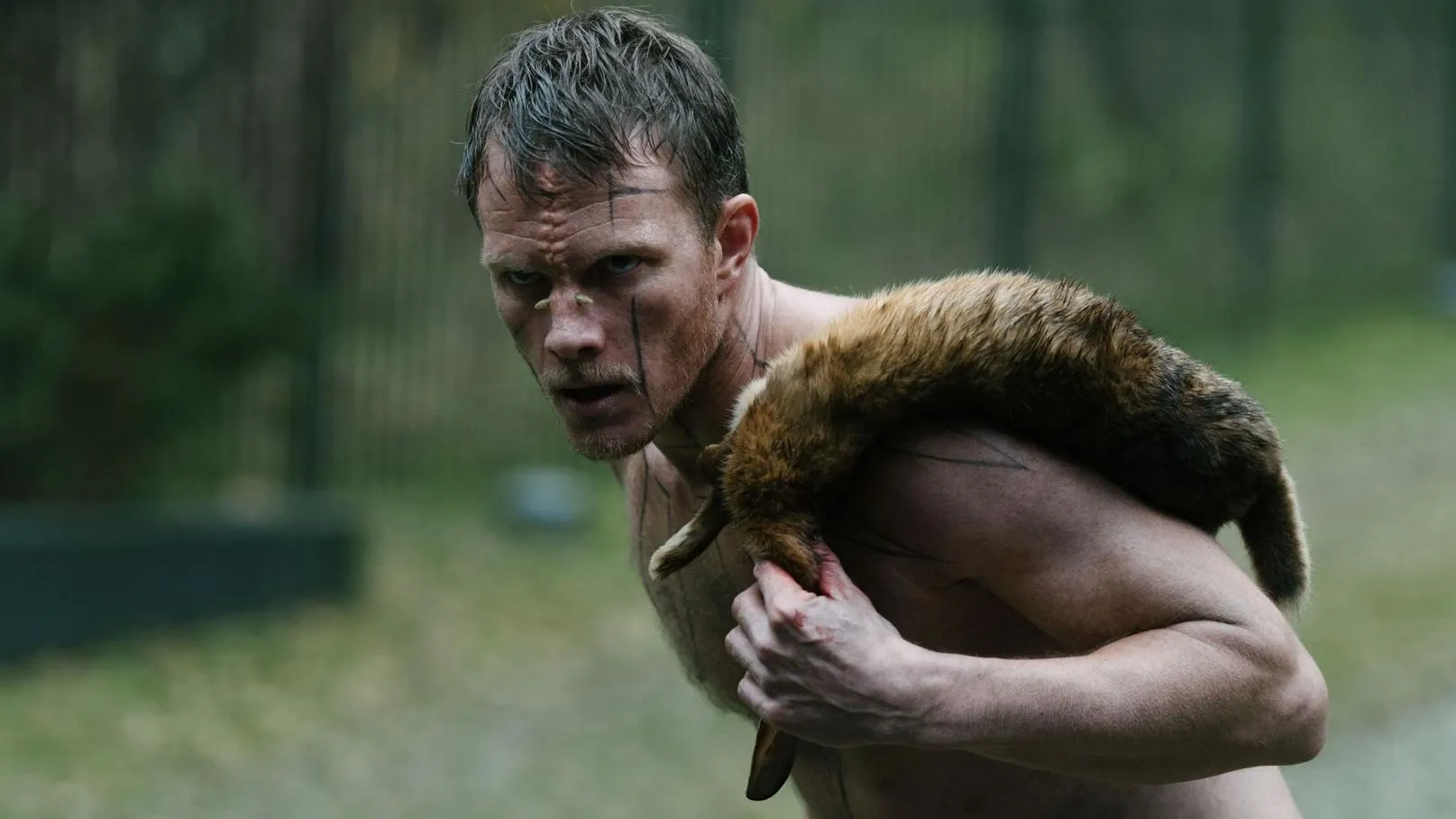 Beforeigners-przybysze | film.org.pl Man, shirtless and muddy, carries a large fur over his shoulder in a forest setting, looking intense and focused.