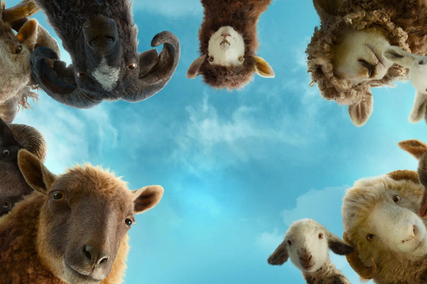 The-Sheep-Detectives-sprawiedliwosc-owiec-2 | film.org.pl Group of llamas forming a circle, looking down at the camera against a bright blue sky