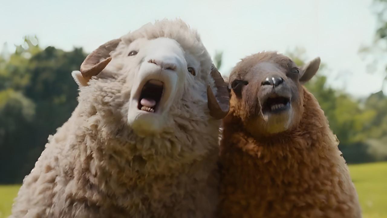 The-Sheep-Detectives-sprawiedliwosc-owiec-3 | film.org.pl Two alpacas stand close together in a sunny, grassy field; the white one has its mouth open as if vocalizing, beside a brown alpaca.