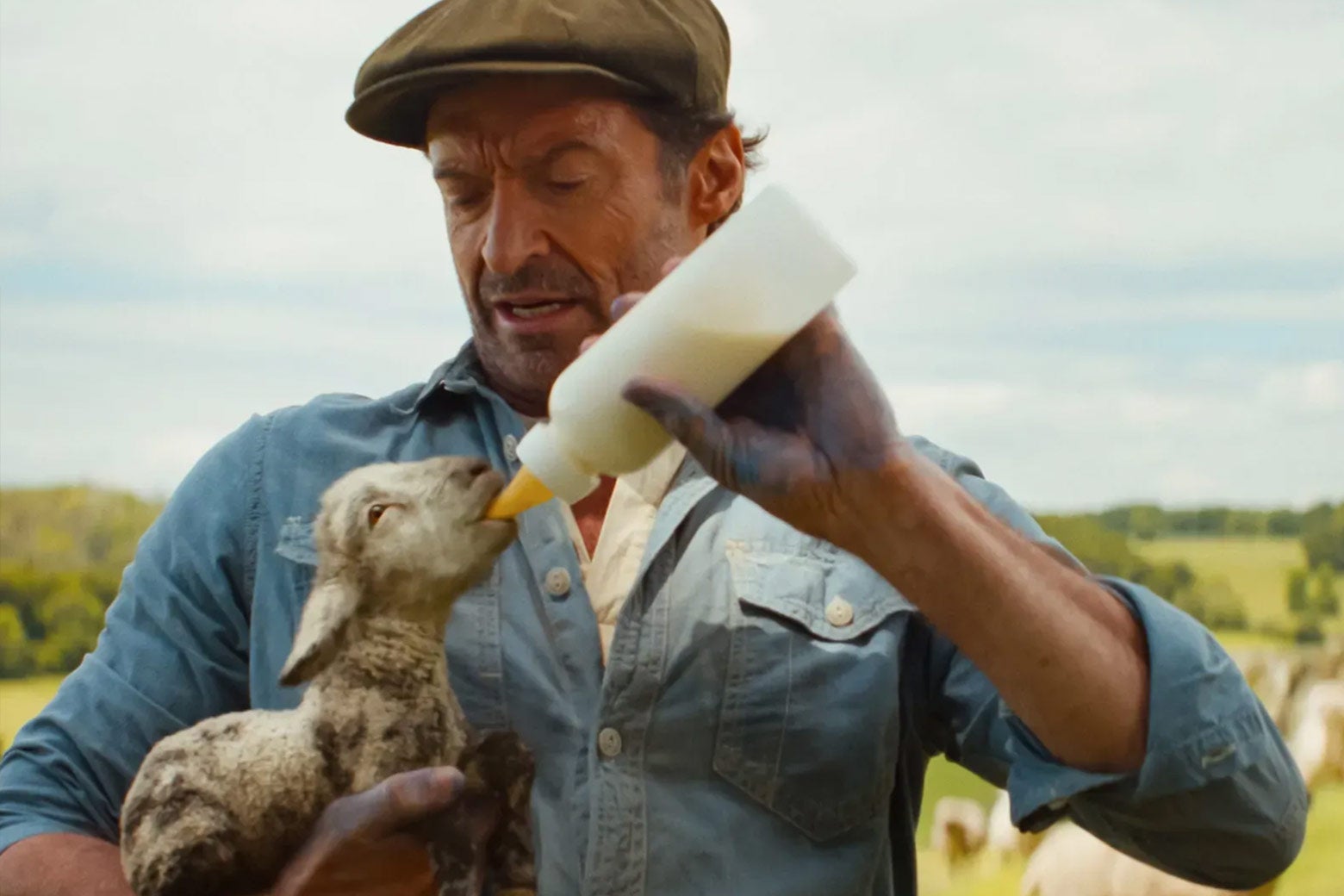 The-Sheep-Detectives-sprawiedliwosc-owiec-4 | film.org.pl Farmer wearing a cap bottle-feeds a lamb outdoors in a sunny rural field