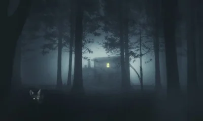 A lone cabin with a warm lit window in a misty, dark forest at night; a shadowy animal with glowing eyes lurks in the lower left.