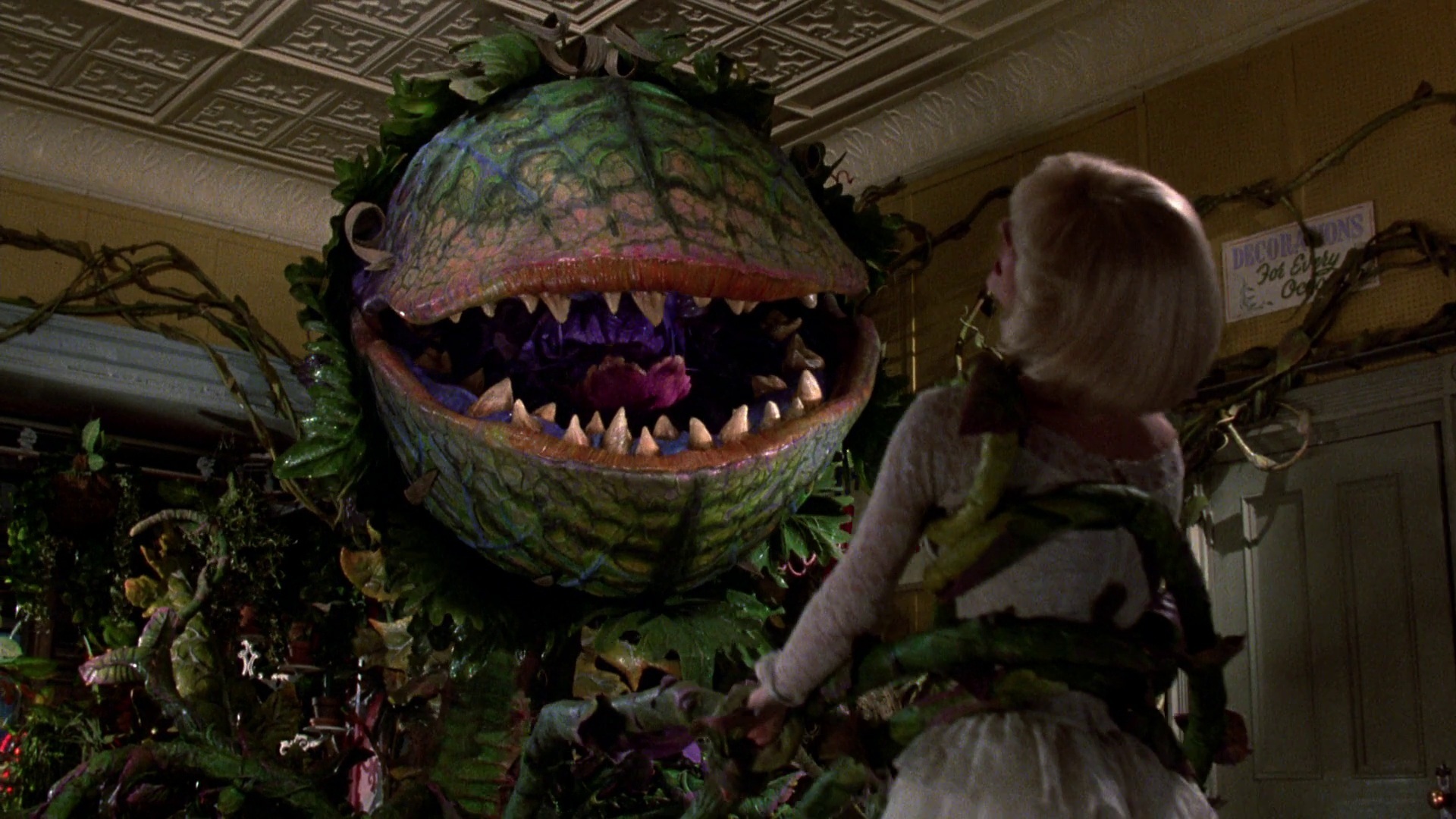 Krwiożercza roślina Little Shop of Horrors sci-fi