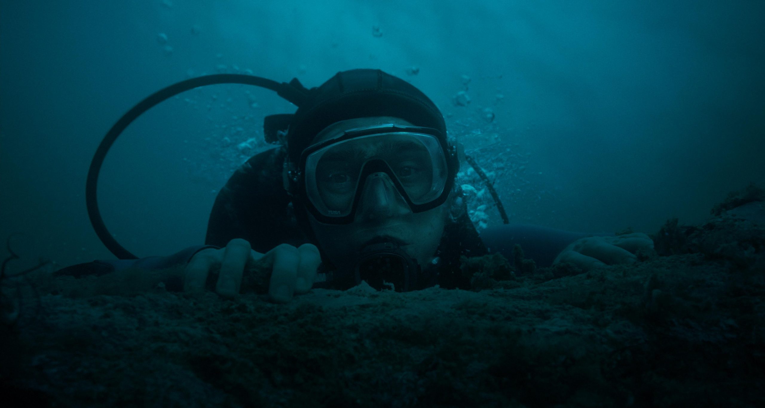 Upadek wieloryba Whalefall