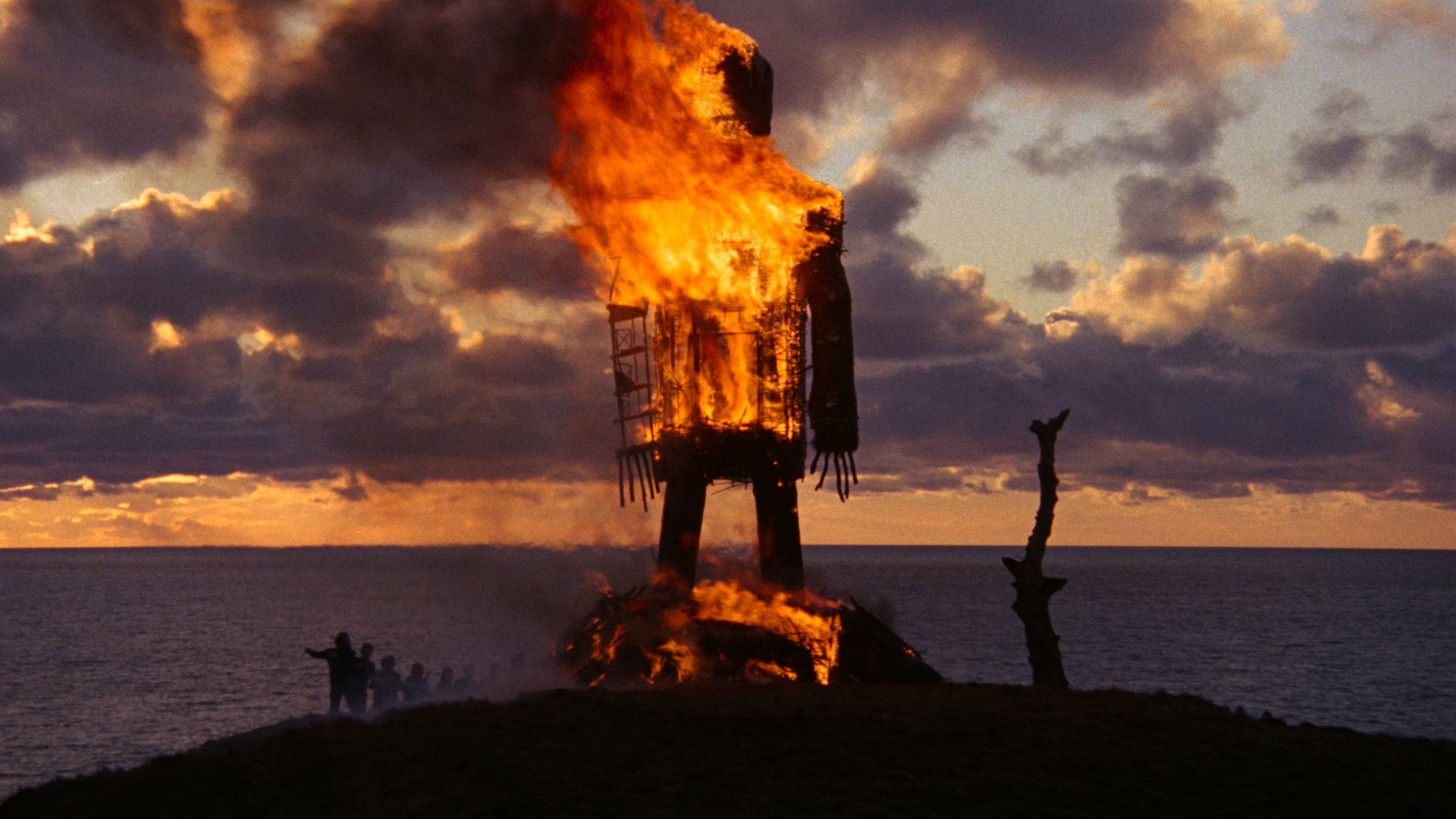 Kult The Wicker Man kadr | film.org.pl Kadr z filmu Kult: płonąca wiklinowa figura na wzgórzu nad morzem o zmierzchu, obok sylwetki ludzi i martwe drzewo. folk horror