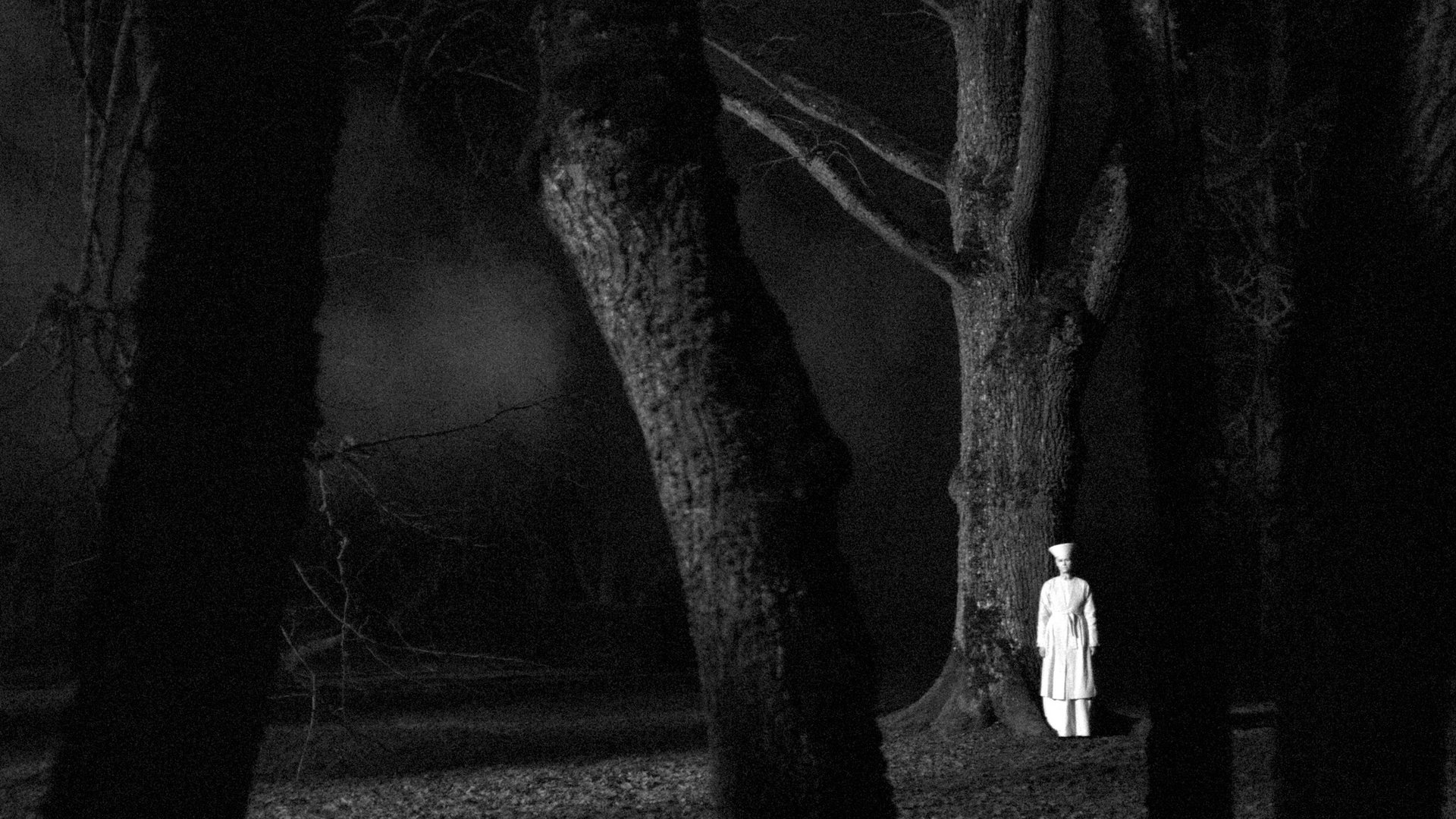 Listopad November kadr | film.org.pl Kadr z filmu Listopad: jasno ubrana postać stoi wśród ciemnych pni drzew w mglistym lesie, czarno-biała scena.